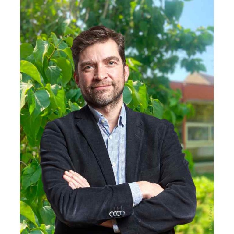 « À Sénart, le marché reste solide dans un contexte de crise enracinée »